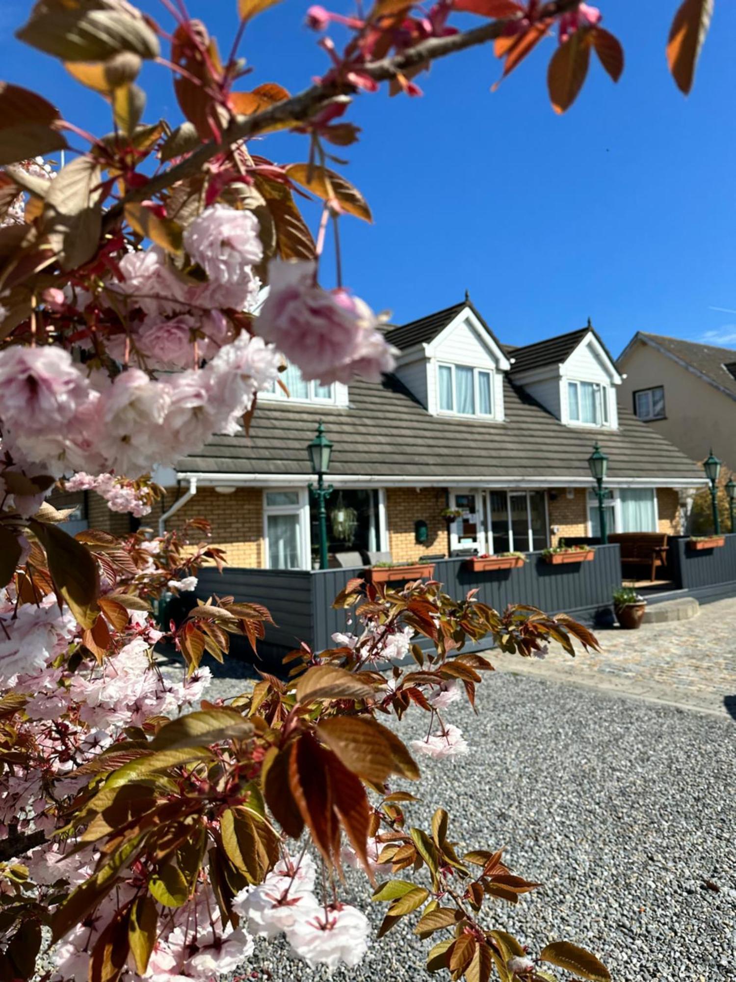 Malahide Guest Rooms Dış mekan fotoğraf